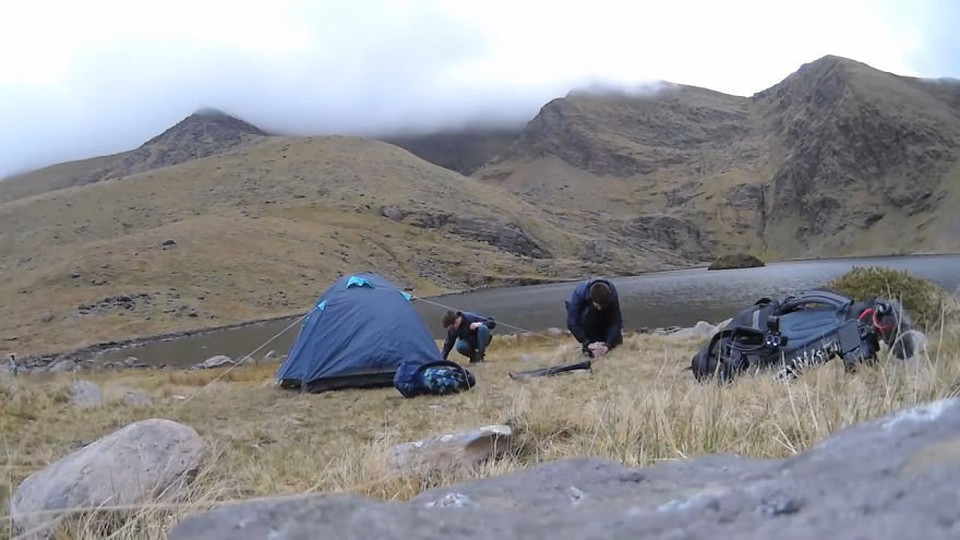 Стиви — слепая спасённая кошка, покорившая самую высокую гору в Ирландии слепая спасённая кошка стиви, кошка покорившая гору в Ирландии