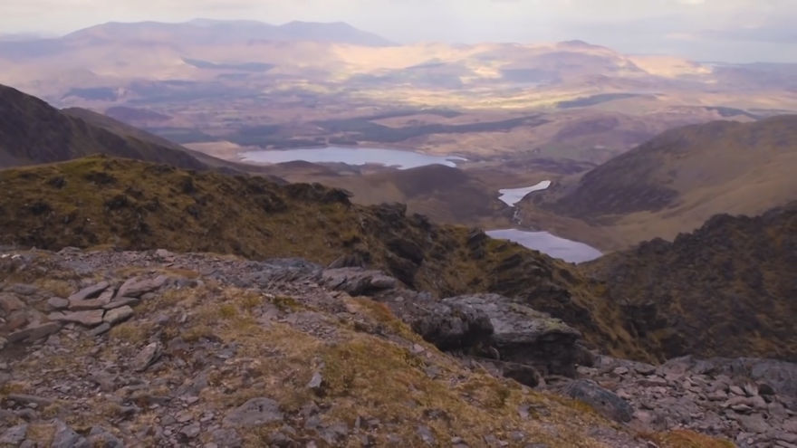 Стиви — слепая спасённая кошка, покорившая самую высокую гору в Ирландии слепая спасённая кошка стиви, кошка покорившая гору в Ирландии