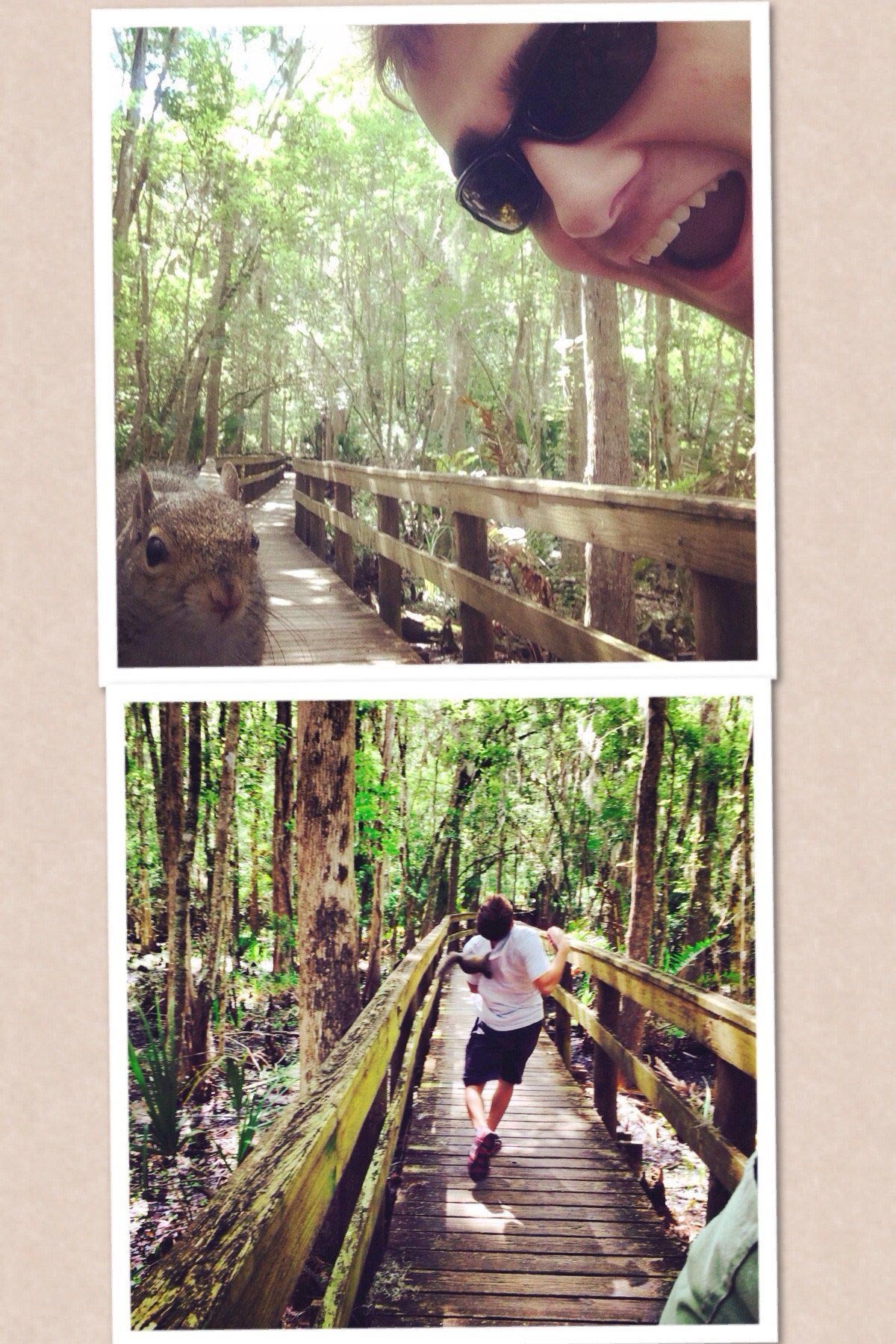 безумные селфи, необычные селфи, сумасшедшие селфи