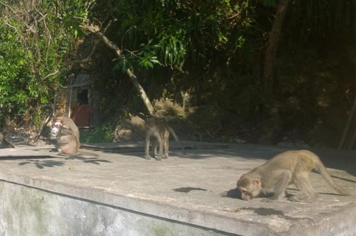факты об алкоголе, всё об алкоголе