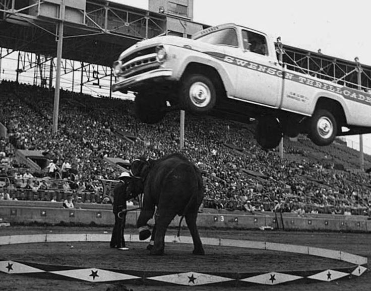 Исторические кадры, редкие архивные фотографии, исторические события, редкие фото звёзд