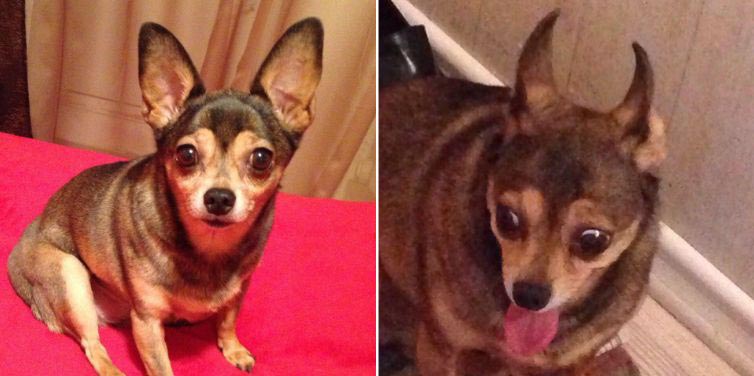 В вк и в жизни, паблик Вконтакте, пользователи смеются над самими собой