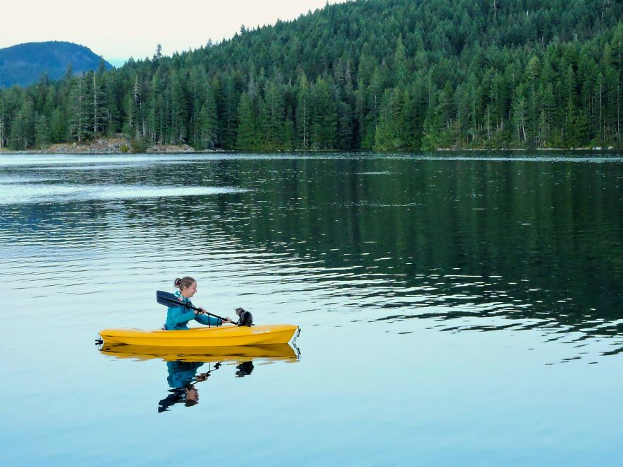 два котёнка отправились в путешествие, Болт и киль коты