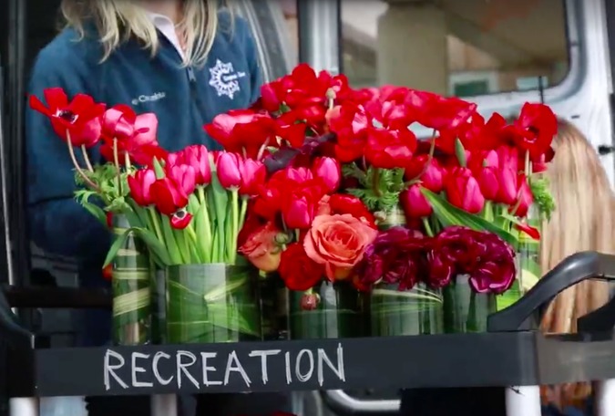 Бывший организатор свадеб нашёл удивительный способ использования цветов, оставшихся после свадеб организатор свадеб нашла способ использования цветов после свадеб, Дженнифер Грув, Jennifer Grove