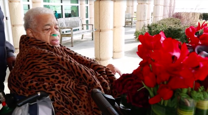 Бывший организатор свадеб нашёл удивительный способ использования цветов, оставшихся после свадеб организатор свадеб нашла способ использования цветов после свадеб, Дженнифер Грув, Jennifer Grove