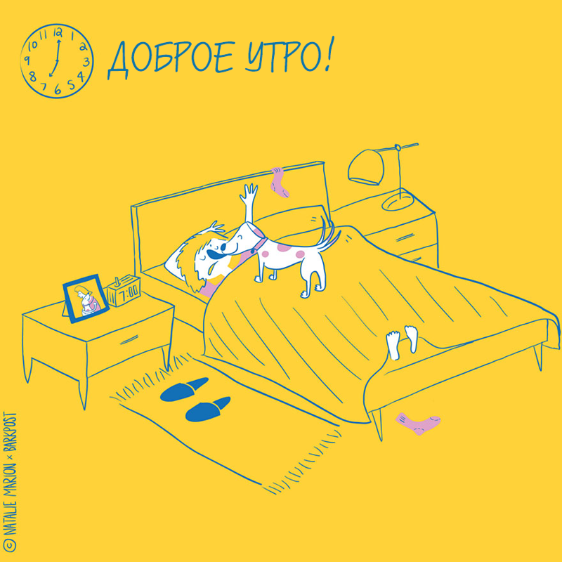 Жизнь хозяйки собаки, жизнь владельца собаки в иллюстрациях, Натали Марион, Natalie Marion)