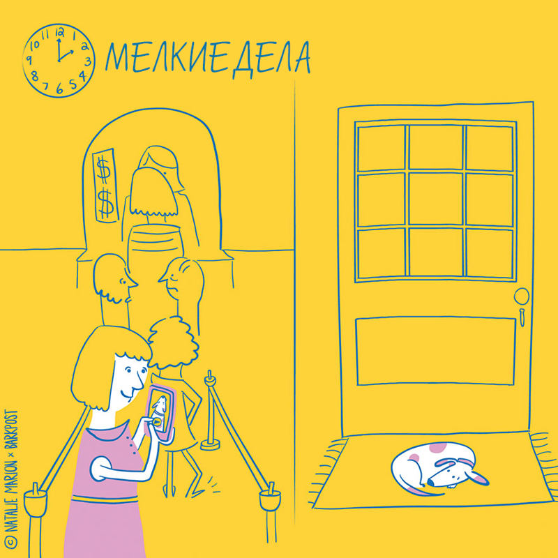 Жизнь хозяйки собаки, жизнь владельца собаки в иллюстрациях, Натали Марион, Natalie Marion)