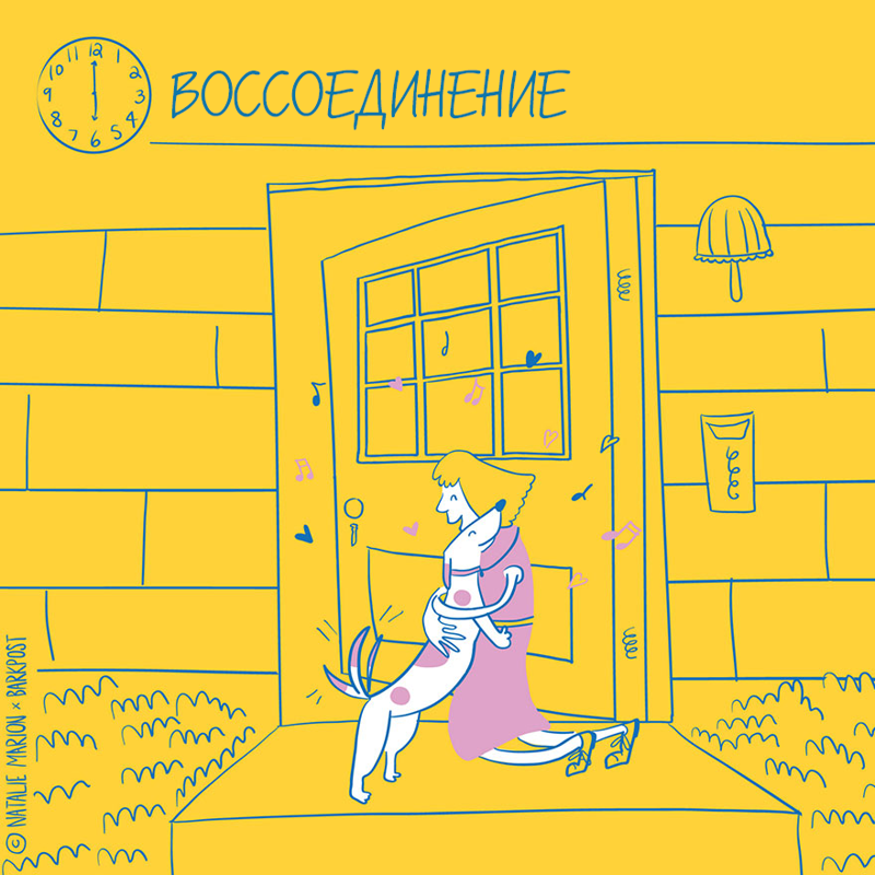 Жизнь хозяйки собаки, жизнь владельца собаки в иллюстрациях, Натали Марион, Natalie Marion)