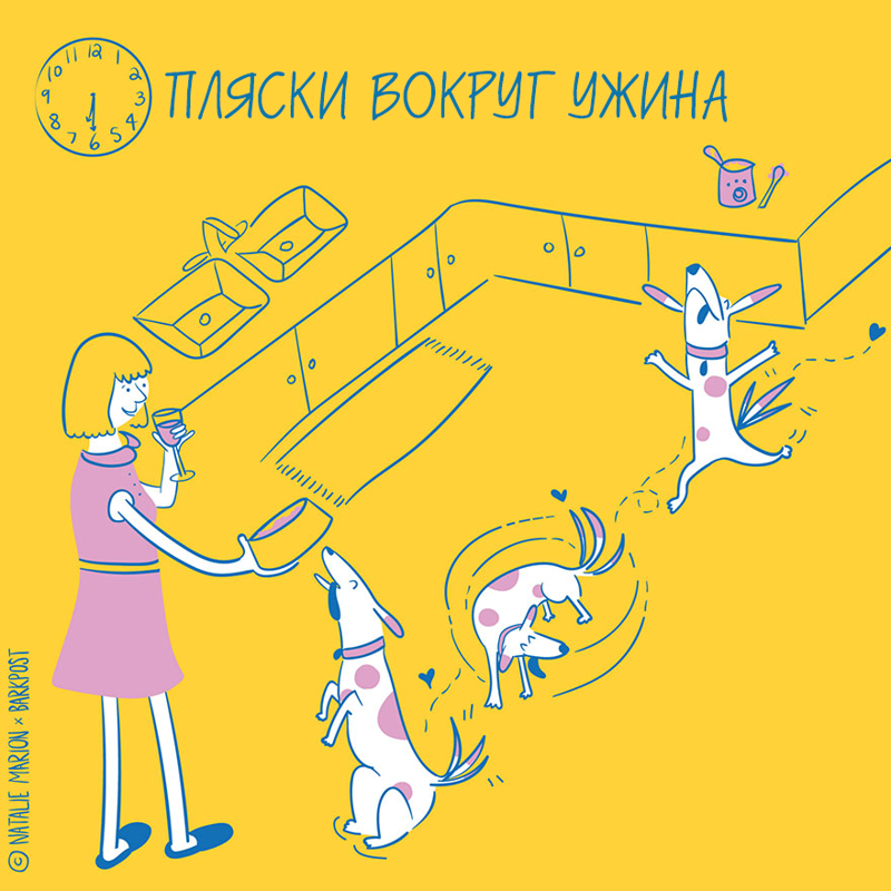 Жизнь хозяйки собаки, жизнь владельца собаки в иллюстрациях, Натали Марион, Natalie Marion)