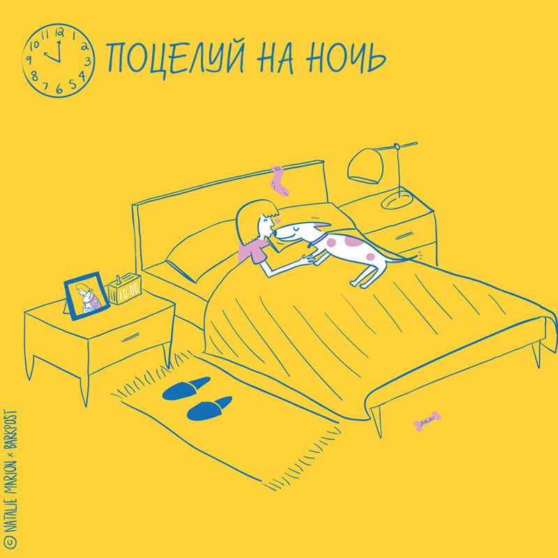 Жизнь хозяйки собаки, жизнь владельца собаки в иллюстрациях, Натали Марион, Natalie Marion)