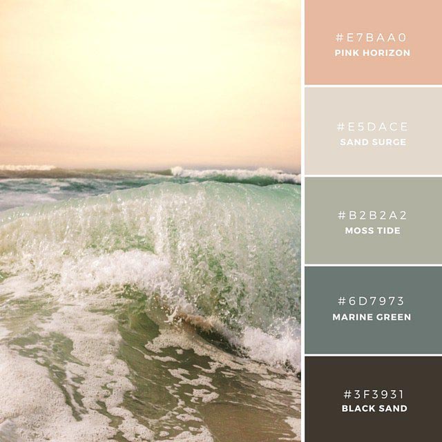 Уникальные цветовые палитры, необычные палитры цветов, палитры цветов для дизайна