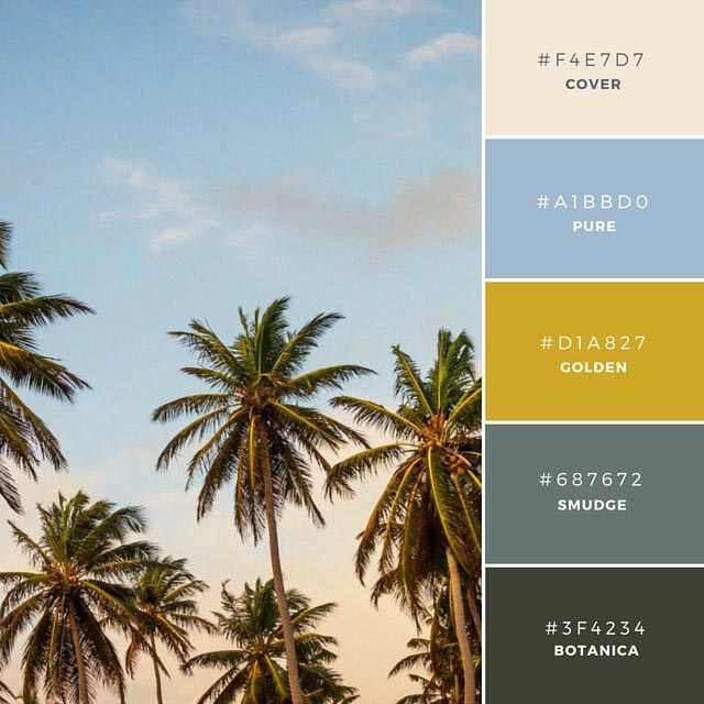 Уникальные цветовые палитры, необычные палитры цветов, палитры цветов для дизайна