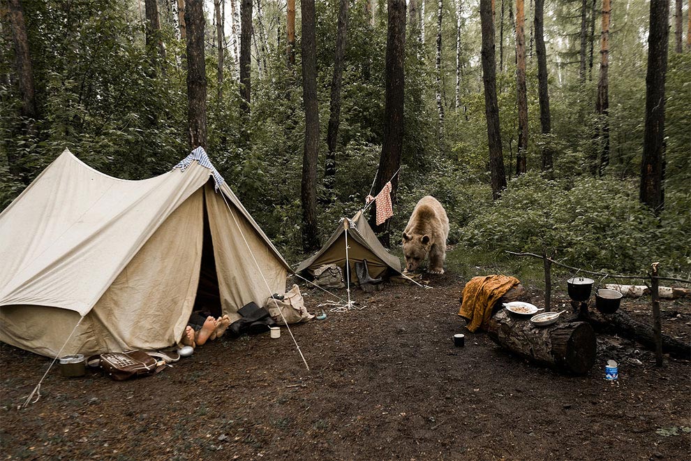 фотограф Ольга Баранцева, и тут пришёл медведь, фотосессия с медведем, медведь Степан