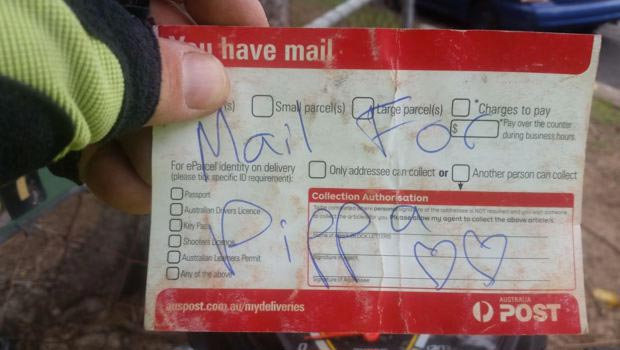 собака любит получать почту, собака Пиппа, почтальон импровизирует дать почту собаке