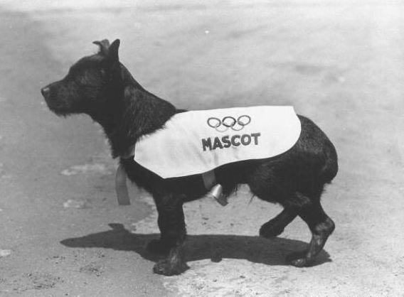 22 фотографии, показывающие, как сильно изменились Олимпийские игры за 100 лет олимпийские игры тогда и сейчас, олимпийские игры 100 лет назад, как изменились олимпийские игры, олимпийские игры в прошлом