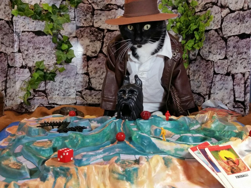 коты-косплееры, косплей с кошками, 