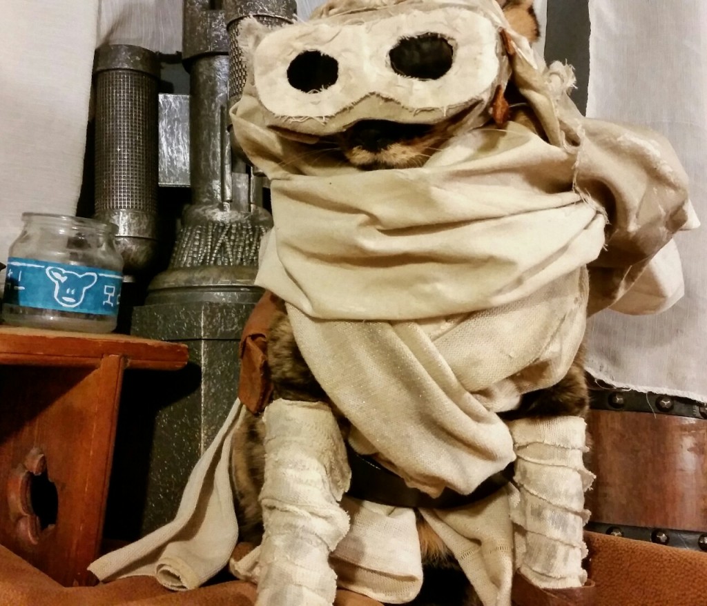 коты-косплееры, косплей с кошками, 