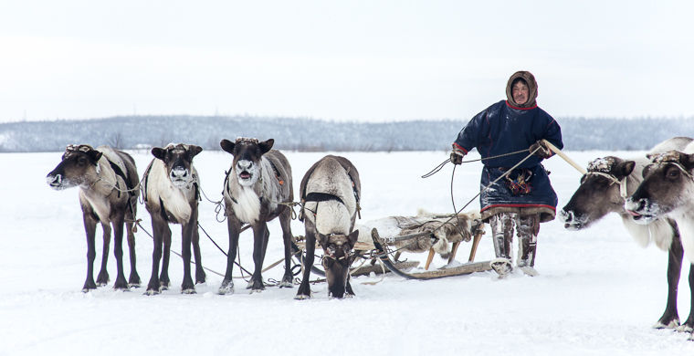 национальные особенности ненцев, всё о ненцах
