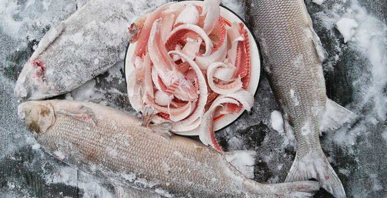 национальные особенности ненцев, всё о ненцах