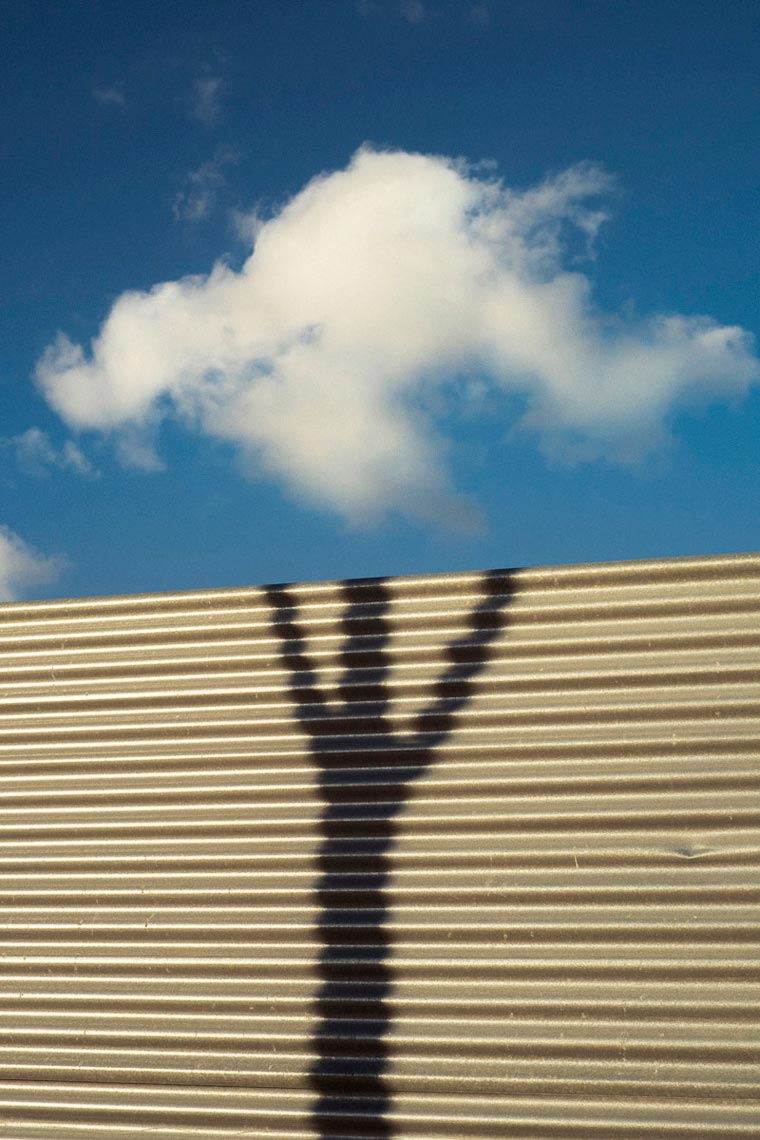 взглянуть на мир по-другому, проект совпадение, Дэнис Черим, Denis Cherim, фотографии необычный взгляд