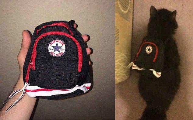 смешные фото покупок в интернет-магазине, неудачные покупки в интернет магазине, интернет магазин что заказали и что пришло