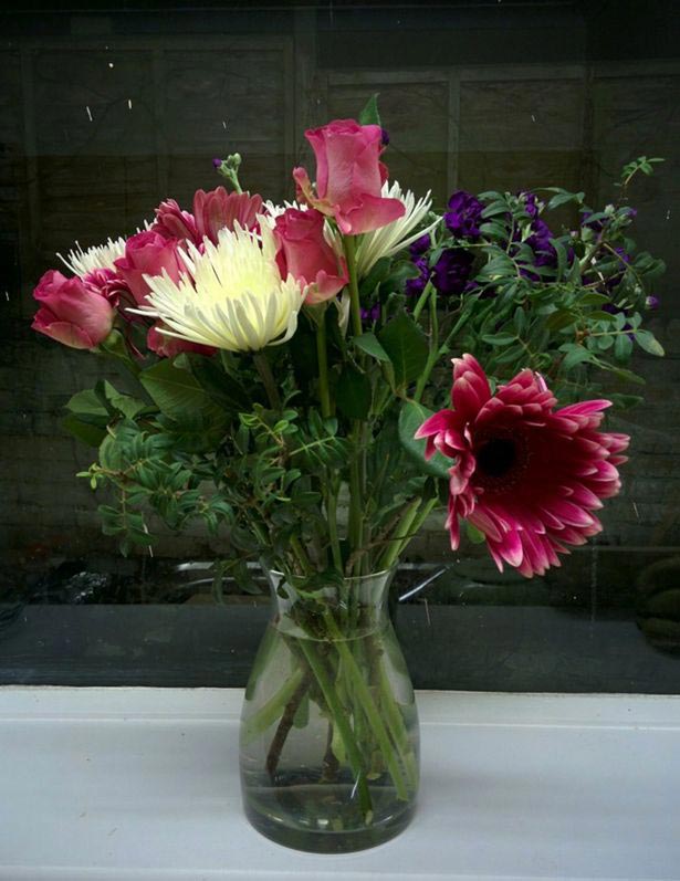 смешные фото покупок в интернет-магазине, неудачные покупки в интернет магазине, интернет магазин что заказали и что пришло