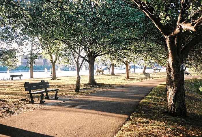 Фотограф решил испытать себя, купив камеру за $ 1 и вот что из этого вышло снимала камерой за $ 1, фотографировала на камеру за 1 доллар