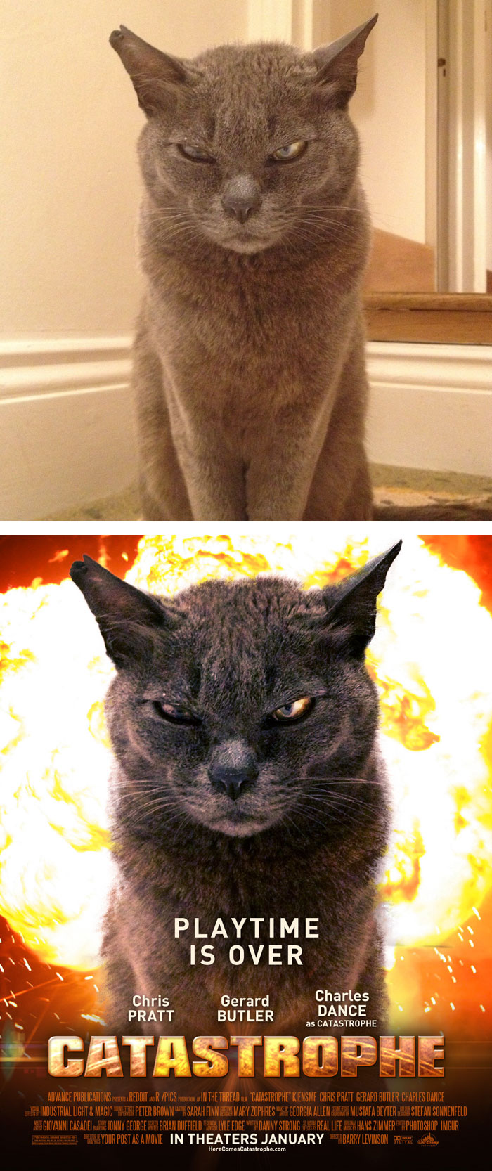 Парень превращает случайные фотографии из интернета в постеры к фильмам превращает фотографии из интернета в постеры к фильмам, Your_Post_As_A_Movie