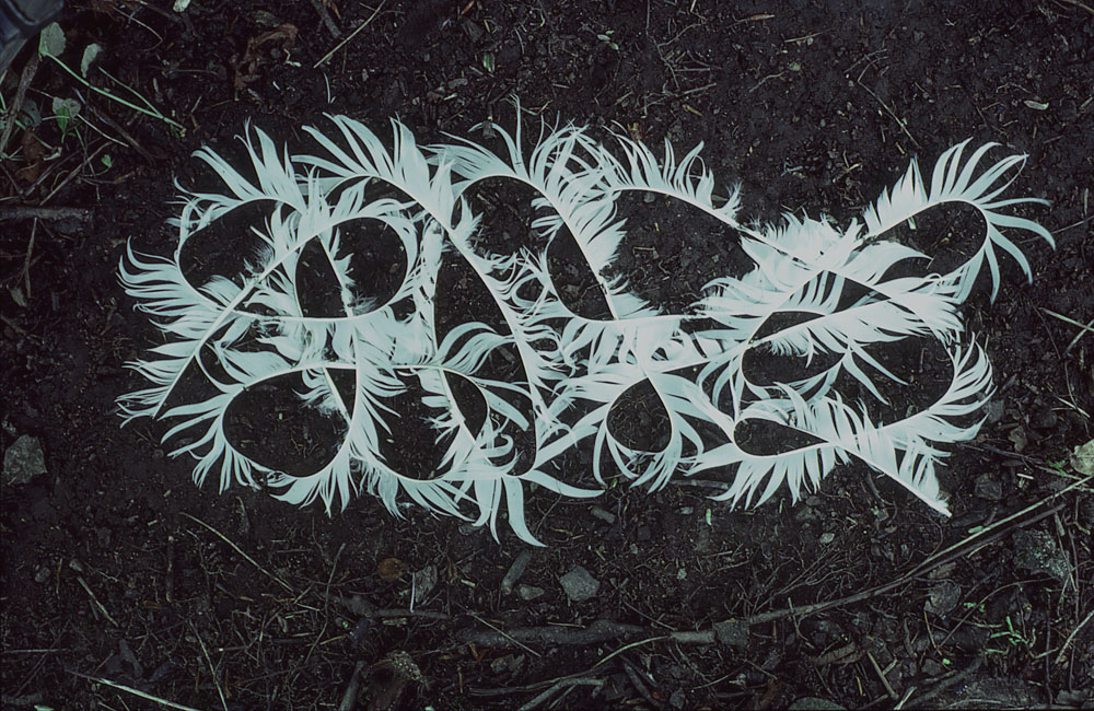 лэнд-арт, Энди Голдсуорти, Andy Goldsworthy