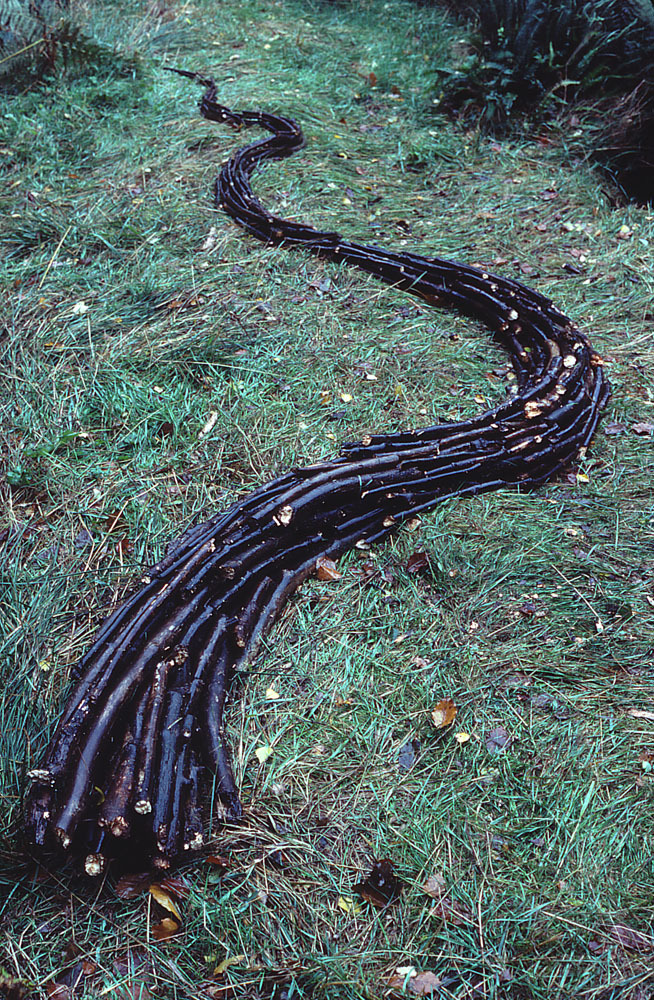 лэнд-арт, Энди Голдсуорти, Andy Goldsworthy