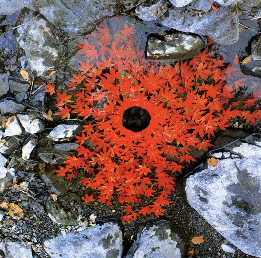 лэнд-арт, Энди Голдсуорти, Andy Goldsworthy