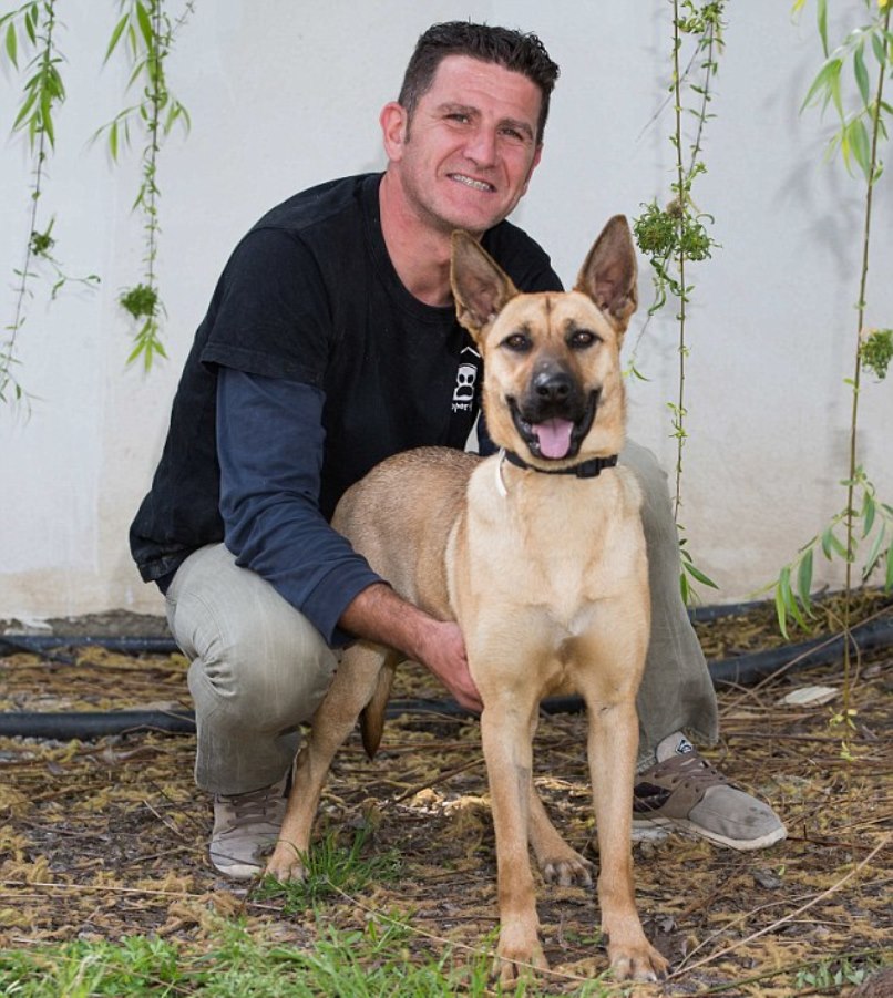 преображение собаки, Barilla dog, невероятное восстановление истощённой собаки