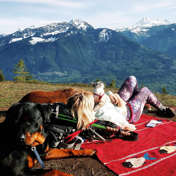 #campingwithcat, путешествие с кошкой, поход с кошкой