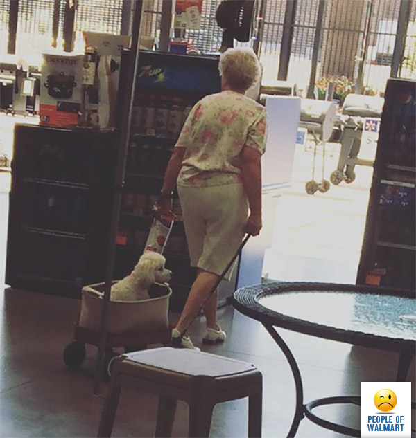 people of walmart, странные американцы, наряды посетителей американских супермаркетов