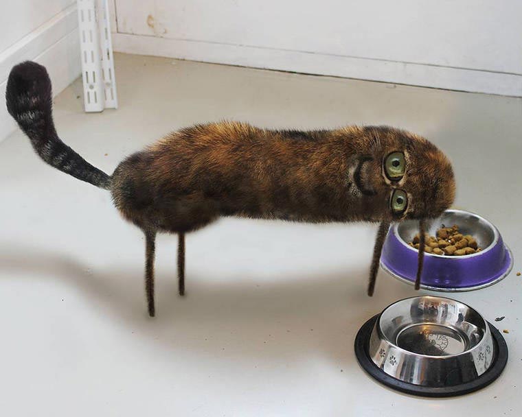 превращает каракули сына в реальные вещи, Things I have drawn, папа рисунки сына в реальность