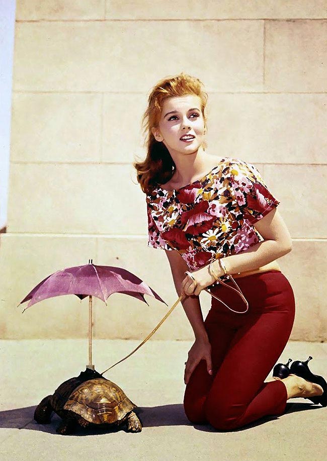 стильные фотографии прошлого, стиль прошлого, исторические фотографии стиля