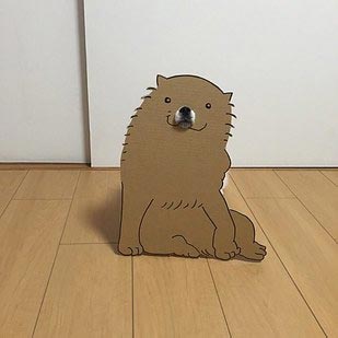 Семба, Маметаро, собака носит костюмы из картона