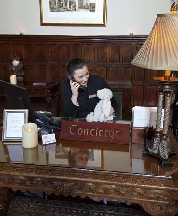 Девочка забыла плюшевого зайца в отеле, персонал отеля устроил приключения плюшевому зайцу 