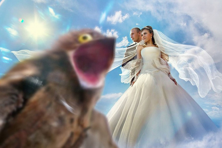 русская свадьба прикол, типичная русская свадьба