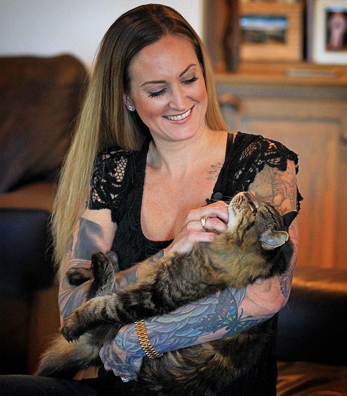 самый старый 26-летний кот, самый старый кот в мире, кот Вельвет