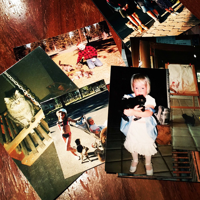 самый старый 26-летний кот, самый старый кот в мире, кот Вельвет