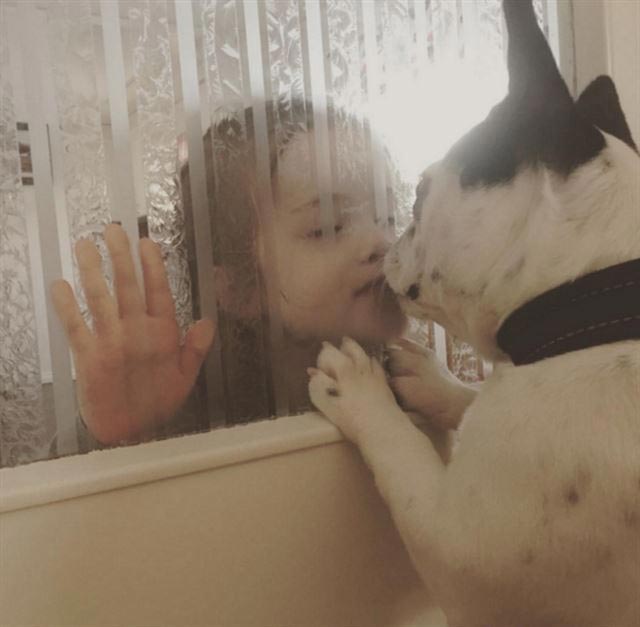 вашему ребёнку нужна собака, собака лучший друг ребёнка