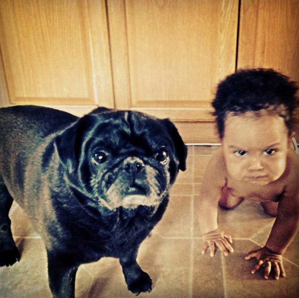 вашему ребёнку нужна собака, собака лучший друг ребёнка