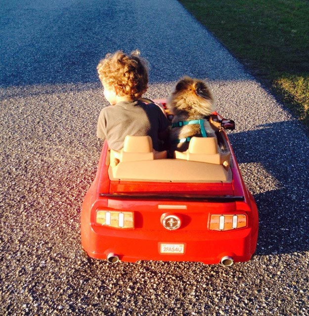 вашему ребёнку нужна собака, собака лучший друг ребёнка