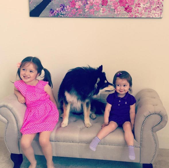 вашему ребёнку нужна собака, собака лучший друг ребёнка