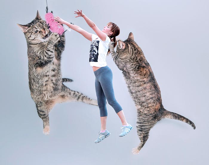 Дженнифер Лоуренс играет в баскетбол, Дженнифер Лоуренс игра в баскетбол фотожабы