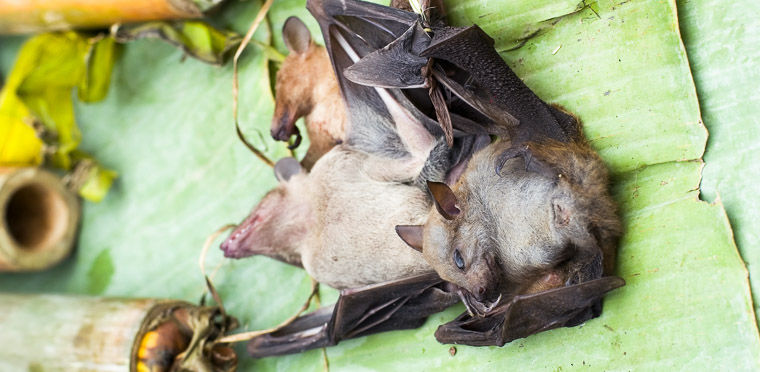 национальные особенности жителей Лаоса, всё о лаосцах