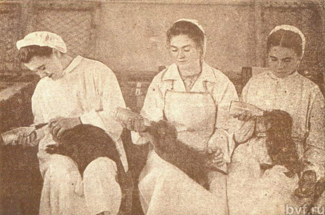 Исторические кадры, редкие архивные фотографии, исторические события, редкие фото звёзд