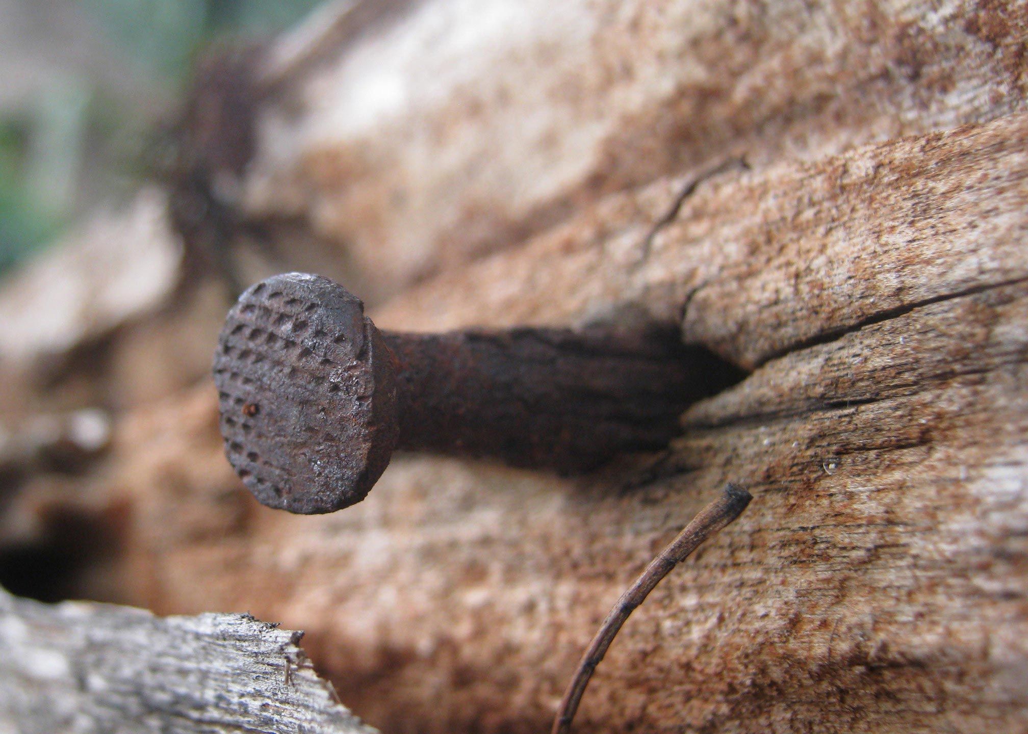 факты о человеке, познавательные факты о человеческом теле