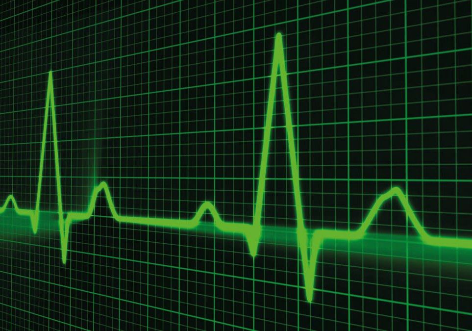 факты о человеке, познавательные факты о человеческом теле